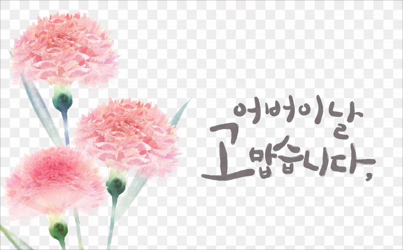 Carnation Flower Download, PNG, 4000x2484px, Carnation, Artificial Flower, Cut Flowers, Floral Design, Floristry Download Free