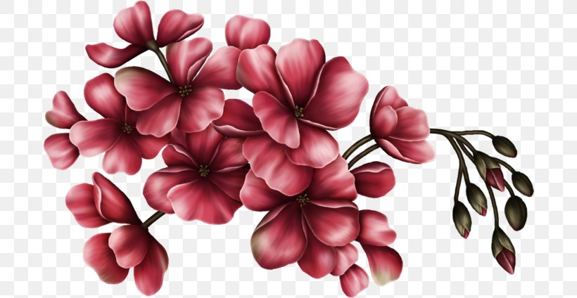 Cut Flowers Floral Design Art, PNG, 698x424px, Flower, Art, Blossom, Cut Flowers, Floral Design Download Free
