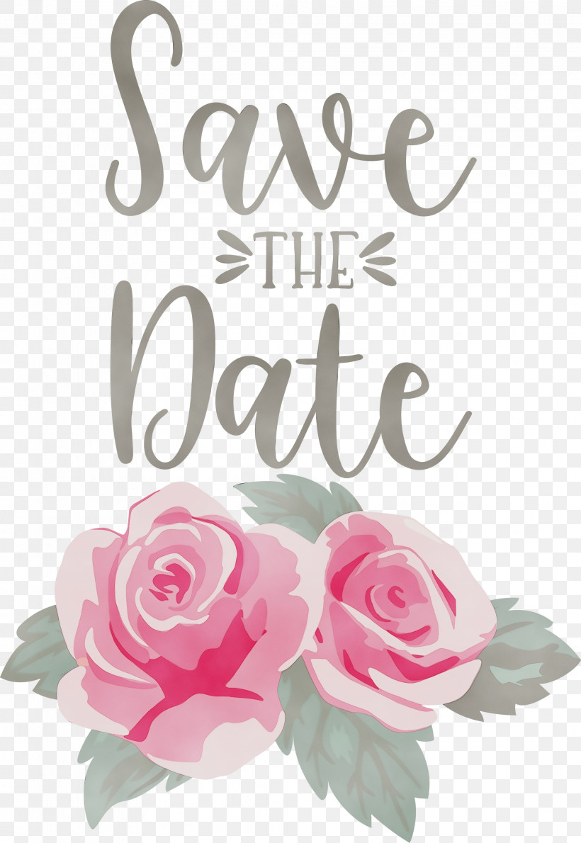 Garden Roses, PNG, 2066x3000px, Save The Date, Floral Design, Flower, Garden Roses, Hybrid Tea Rose Download Free