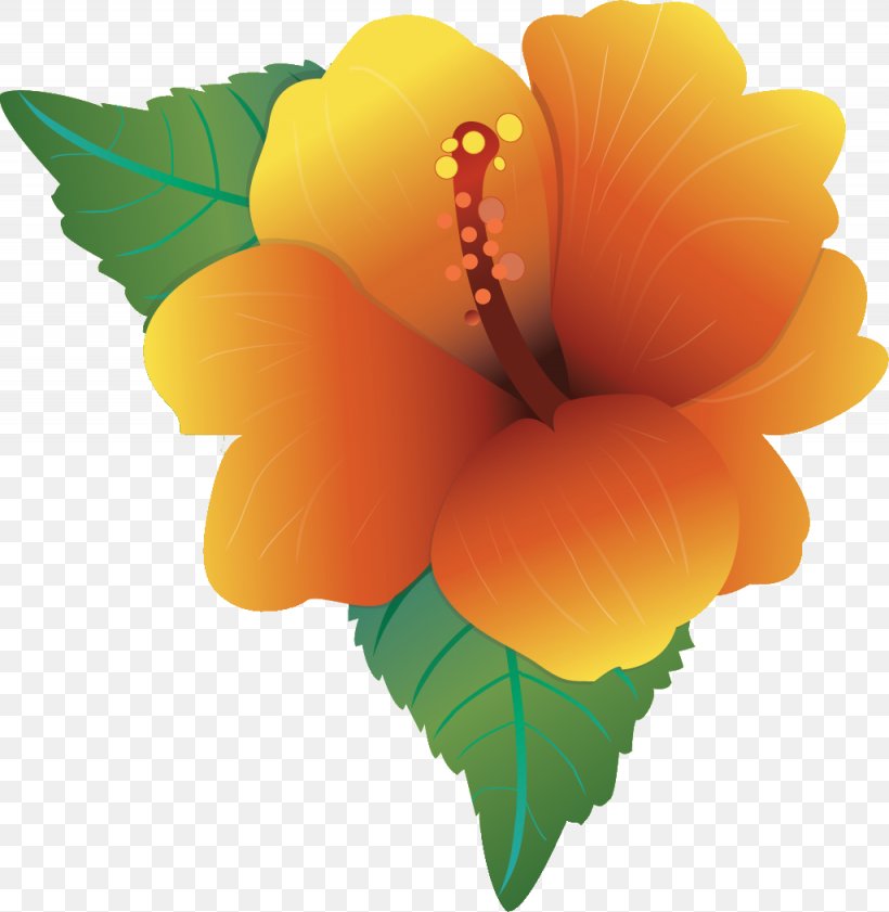 Hawaiian Hibiscus Flower Clip Art, PNG, 1025x1052px, Hibiscus, Color, Drawing, Flower, Flowering Plant Download Free
