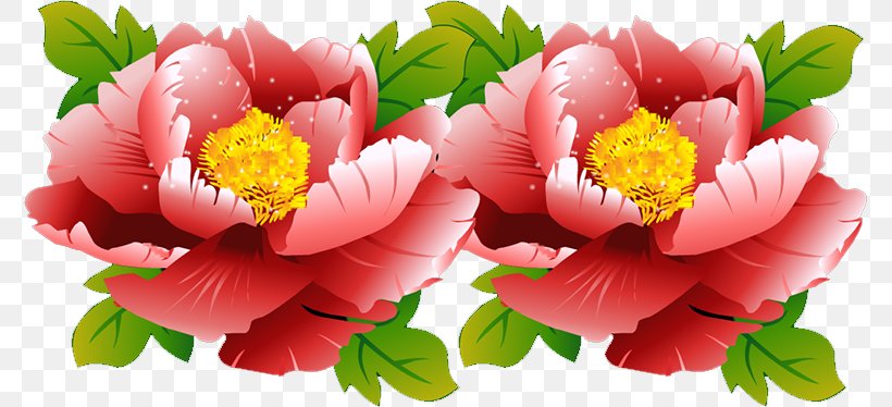 Peony Floral Design Cut Flowers Herbaceous Plant Petal, PNG, 775x374px, Peony, Cut Flowers, Floral Design, Flower, Flowering Plant Download Free