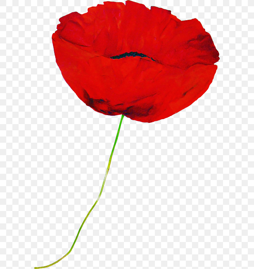 Red Flower Coquelicot Petal Corn Poppy, PNG, 600x867px, Red, Coquelicot, Corn Poppy, Flower, Leaf Download Free