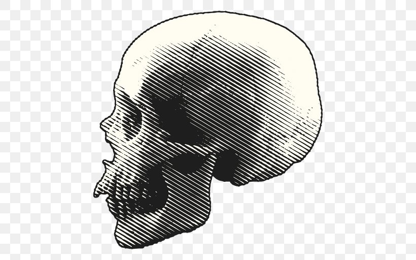 Skull, PNG, 512x512px, Skull, Black And White, Cartoon, Drawing, Face Download Free