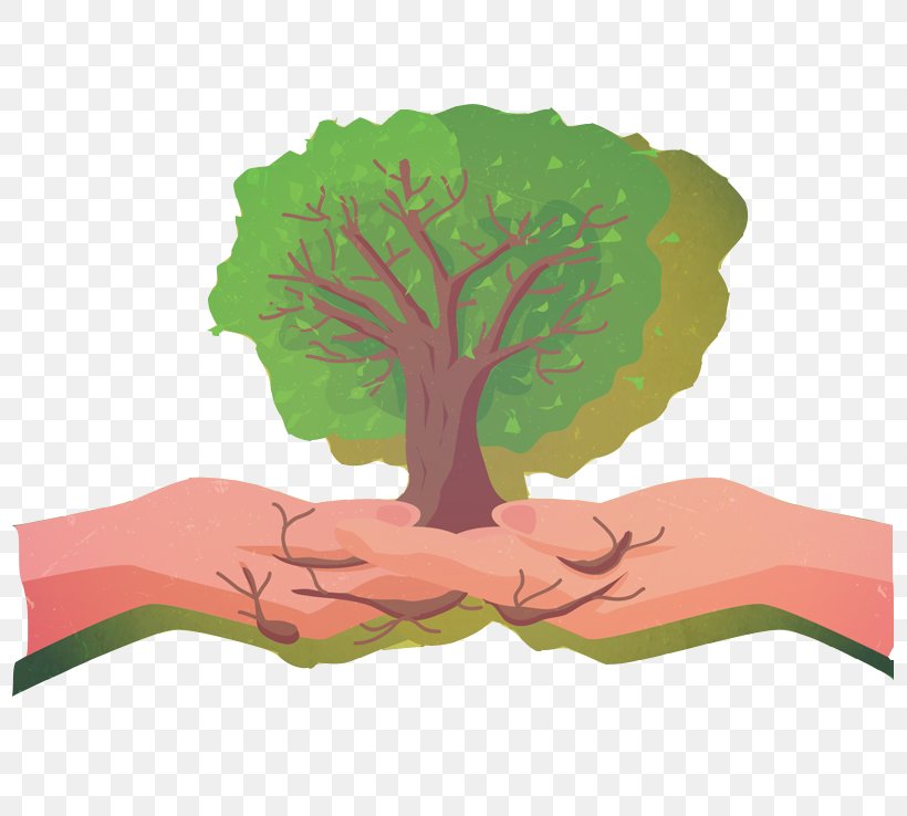 Tree Hand Euclidean Vector, PNG, 800x738px, Tree, Arecaceae, Art, Dlan, Flower Download Free