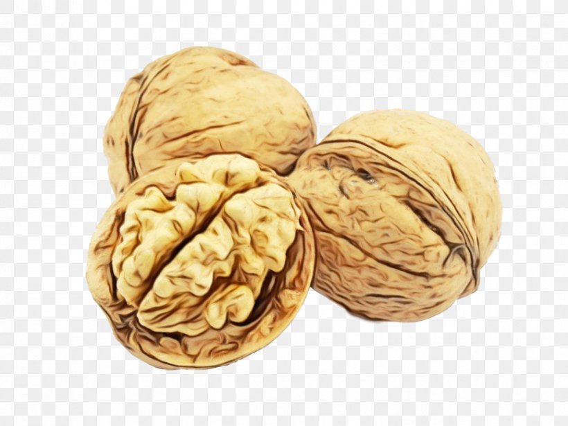 Walnut Nut Nuts & Seeds Food Plant, PNG, 866x650px, Watercolor, Food, Ingredient, Nut, Nuts Seeds Download Free