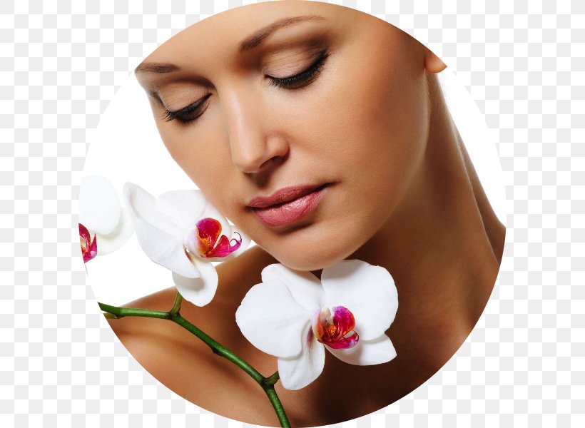 Aesthetics Beauty Parlour Cosmetics Plastic Surgery, PNG, 600x600px, Aesthetics, Art, Beauty, Beauty Parlour, Cheek Download Free