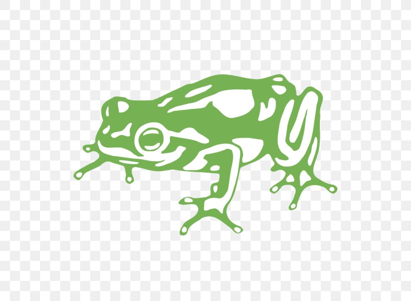 Kermit The Frog Frog Design Inc. Logo, PNG, 800x600px, Frog, Amphibian, Area, Frog Design Inc, Green Download Free
