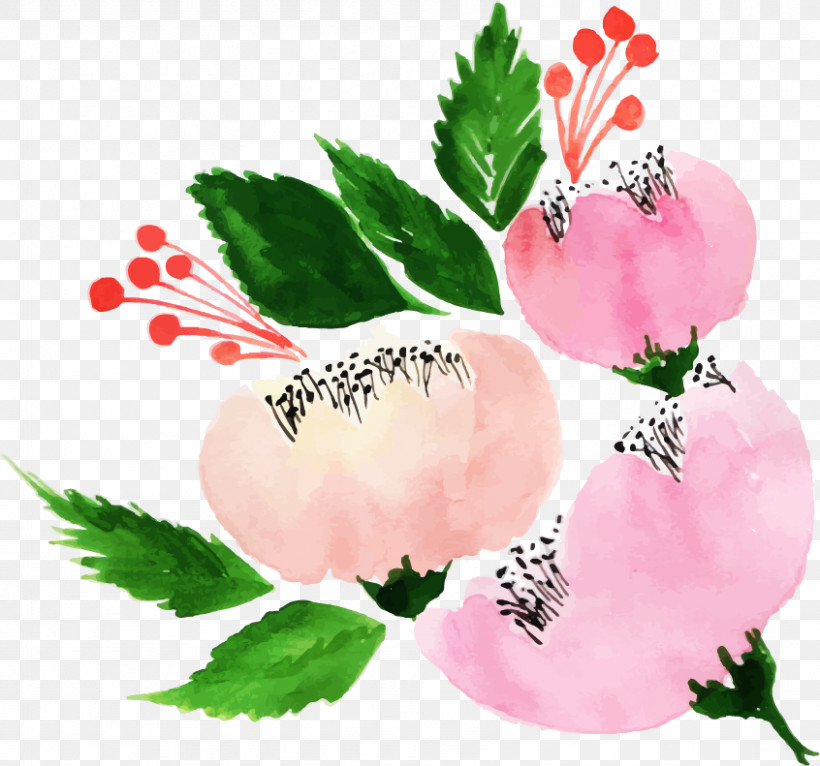 Pink Flower Leaf Plant Petal, PNG, 846x791px, Pink, Branch, Flower, Leaf, Petal Download Free