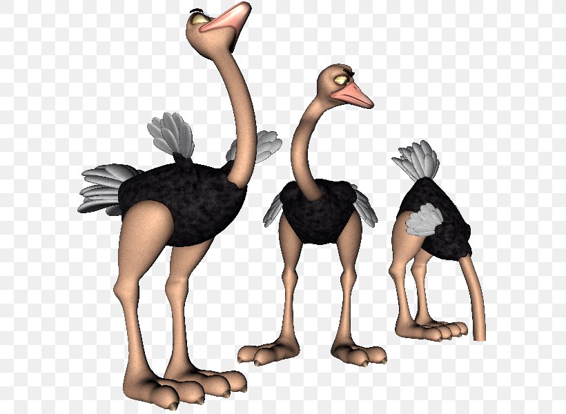 Common Ostrich Cartoon Drawing Clip Art, PNG, 600x600px, Common Ostrich, Animated Film, Beak, Bedknobs And Broomsticks, Bird Download Free