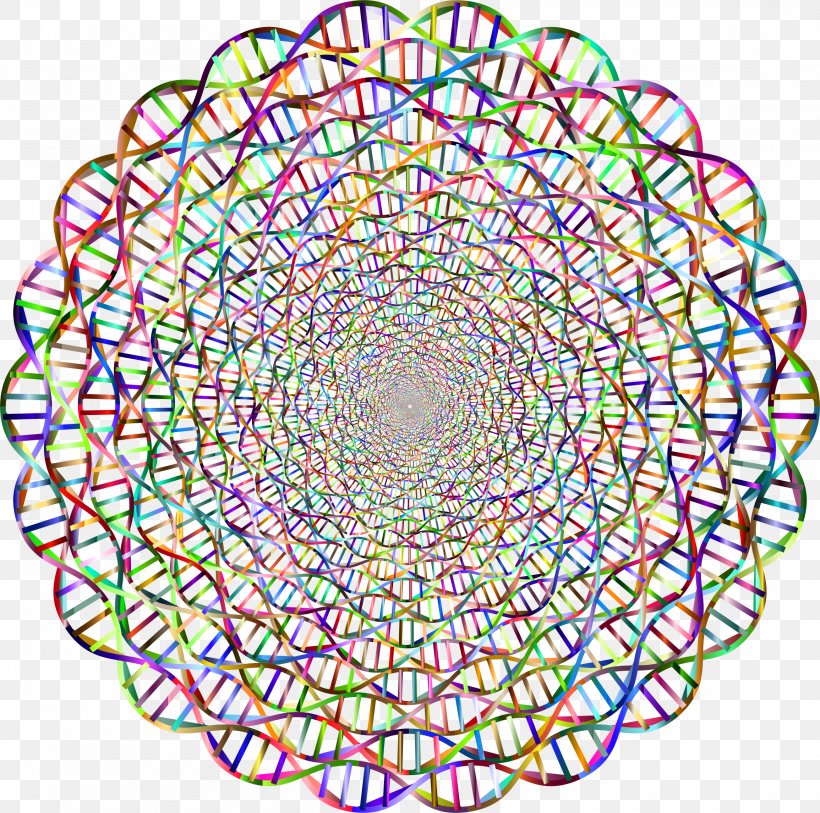 DNA Nucleic Acid Double Helix Circle, PNG, 2310x2292px, Dna, Area, Doily, Helix, Kaleidoscope Download Free