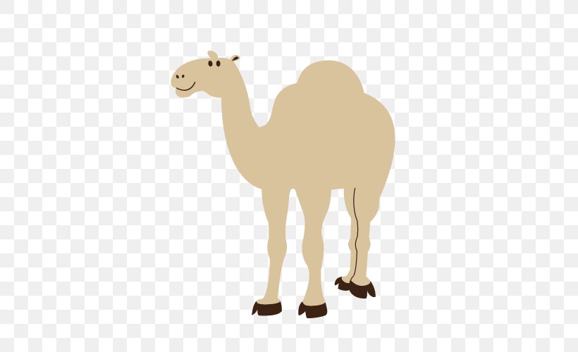 Dromedary Clip Art, PNG, 500x500px, Dromedary, Arabian Camel, Camel, Camel Like Mammal, Cartoon Download Free