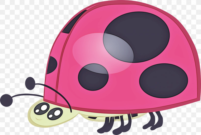 Ladybird Beetle M-audio, PNG, 1280x862px, Ladybird Beetle, Maudio Download Free