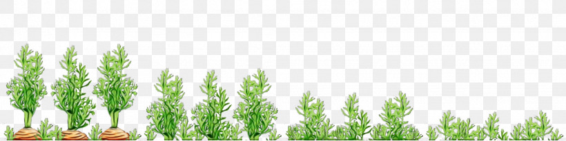 Plant Stem Wheatgrass Green Commodity Tree, PNG, 2048x512px, Watercolor, Biology, Commodity, Green, Paint Download Free