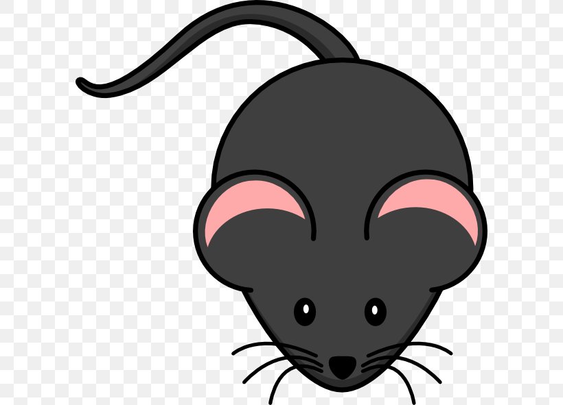 Computer Mouse Rodent Clip Art, PNG, 600x591px, Mouse, Audio, Black, Carnivoran, Cartoon Download Free