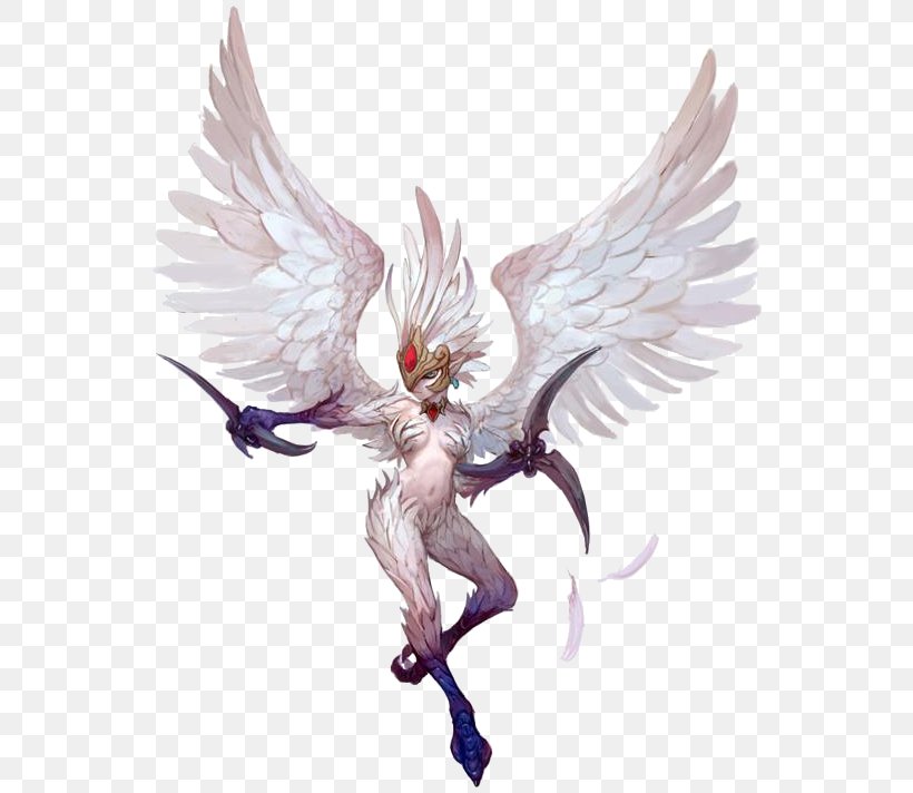 Dragon Nest Harpy Model Sheet Character, PNG, 556x712px, Dragon Nest, Angel, Art, Bird, Character Download Free