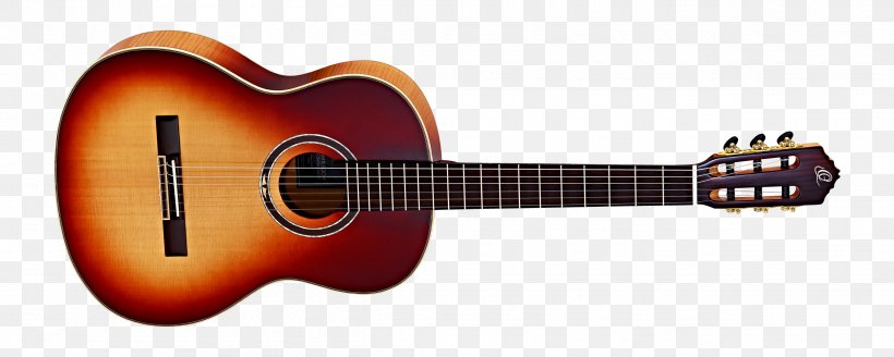 Guitar Amplifier Steel-string Acoustic Guitar Ibanez, PNG, 2500x1000px, Watercolor, Cartoon, Flower, Frame, Heart Download Free
