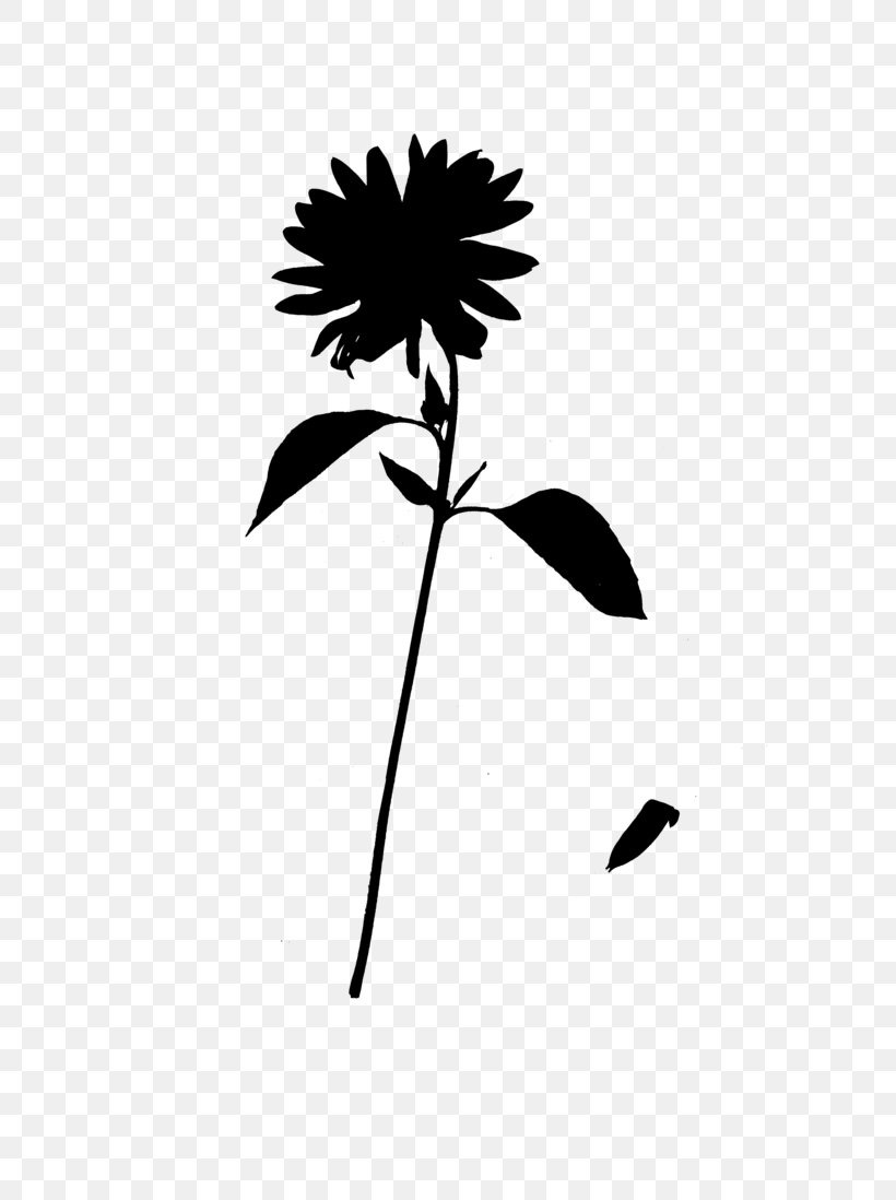 Leaf Plant Stem Clip Art Silhouette Line, PNG, 727x1098px, Leaf, Blackandwhite, Botany, Branching, Daisy Family Download Free