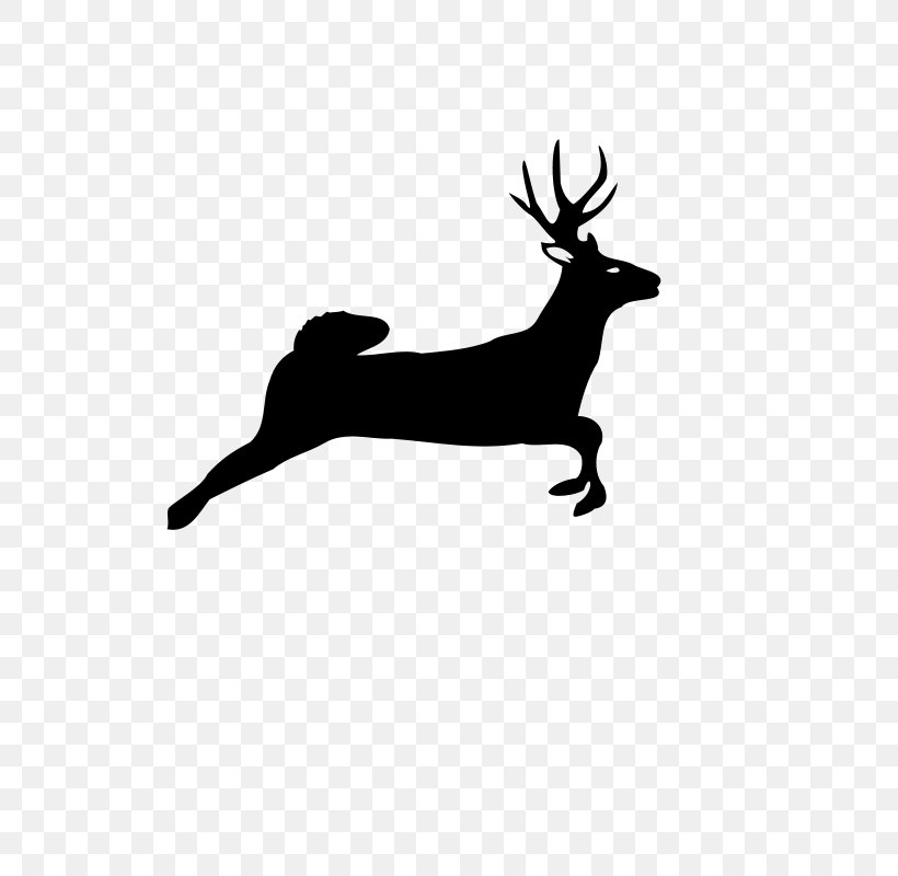White-tailed Deer Red Deer Clip Art, PNG, 566x800px, Deer, Antler, Black And White, Deer Hunting, Drawing Download Free