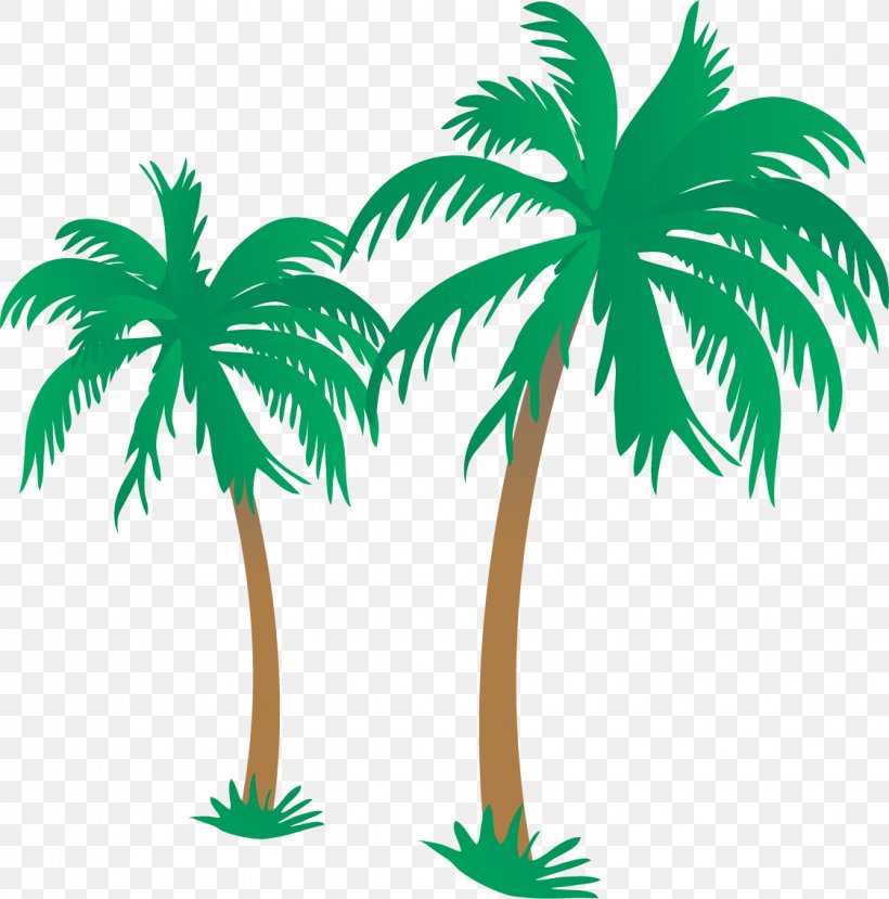 Beach Arecaceae Illustration, PNG, 1122x1135px, Beach, Arecaceae, Arecales, Borassus Flabellifer, Coconut Download Free