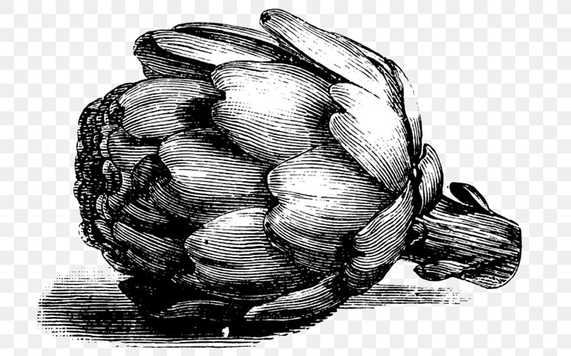 Culinary Arts Clip Art Vector Graphics Italian Cuisine Stock Illustration, PNG, 720x511px, Culinary Arts, Art, Artichoke, Blackandwhite, Cooking Download Free