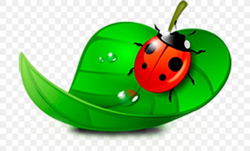 Ladybird Drawing Blog Clip Art, PNG, 700x497px, Insect, Art, Arthropod, Beetle, Drawing Download Free
