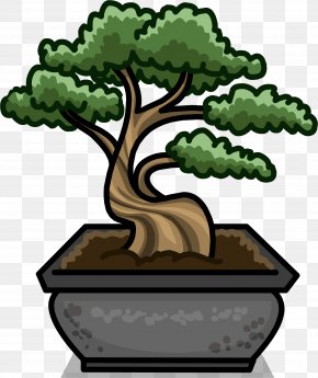Bonsai - Club Penguin United States National Arboretum Bonsai Tree Flowerpot PNG