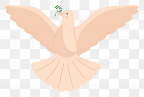 Dove - Dove With Branch Illustration PNG