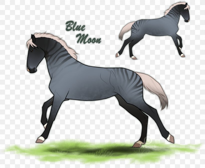 Mustang Mare Stallion Rein English Riding, PNG, 971x800px, Mustang, Bridle, English Riding, Equestrian, Equestrian Sport Download Free