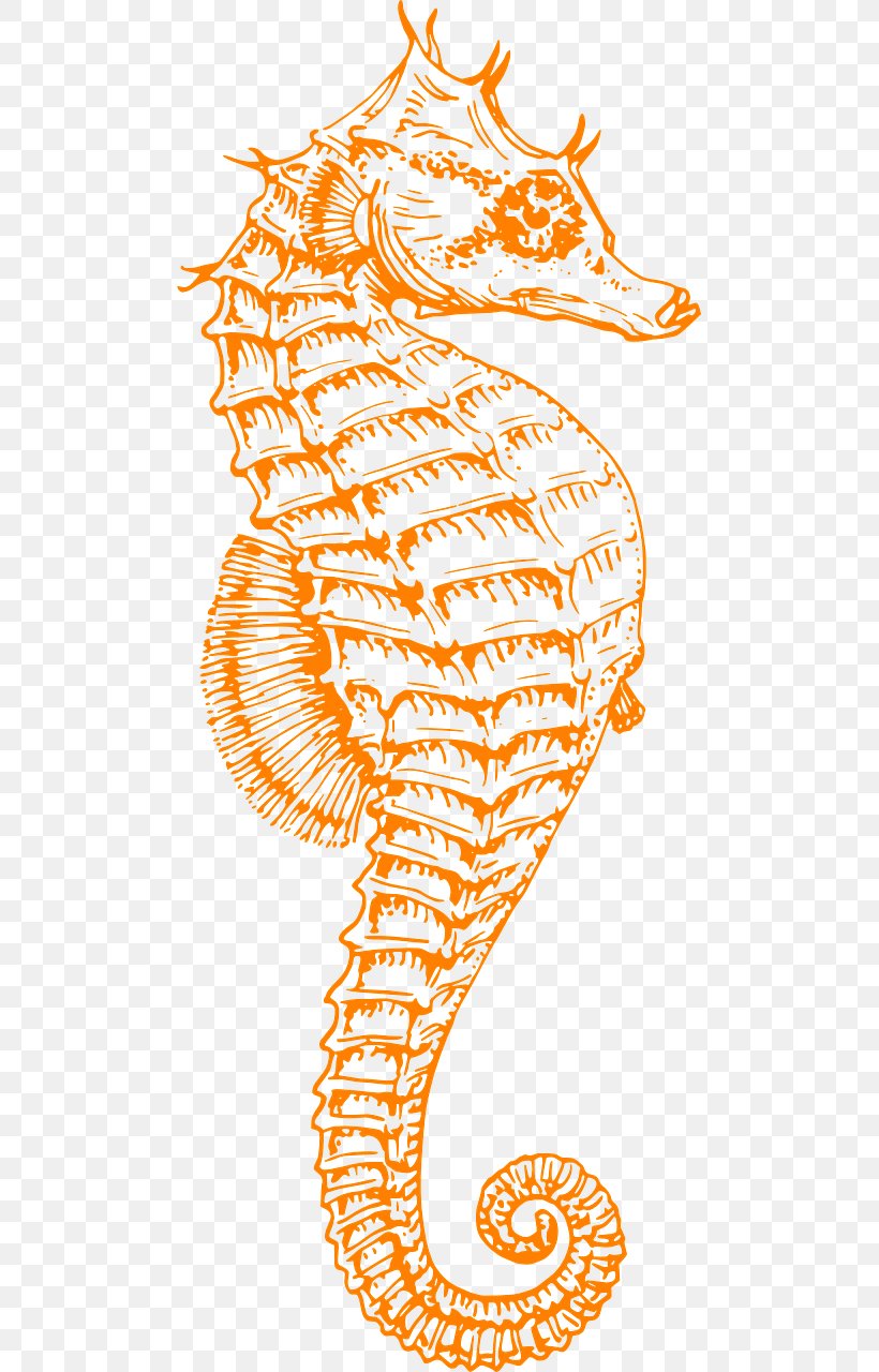 Seahorse Leafy Seadragon Clip Art, PNG, 640x1280px, Seahorse, Animal, Area, Art, Fish Download Free