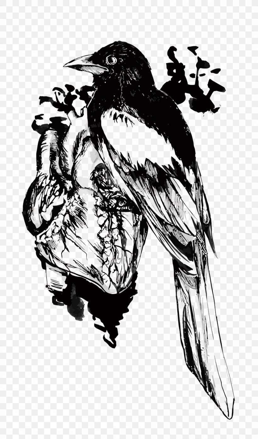 Vector Raven, PNG, 882x1500px, Bird, Art, Beak, Bird Of Prey, Black And White Download Free