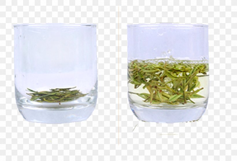 Green Tea Longjing Tea Cup, PNG, 868x592px, Tea, Camellia Sinensis, Cup, Drink, Flowerpot Download Free