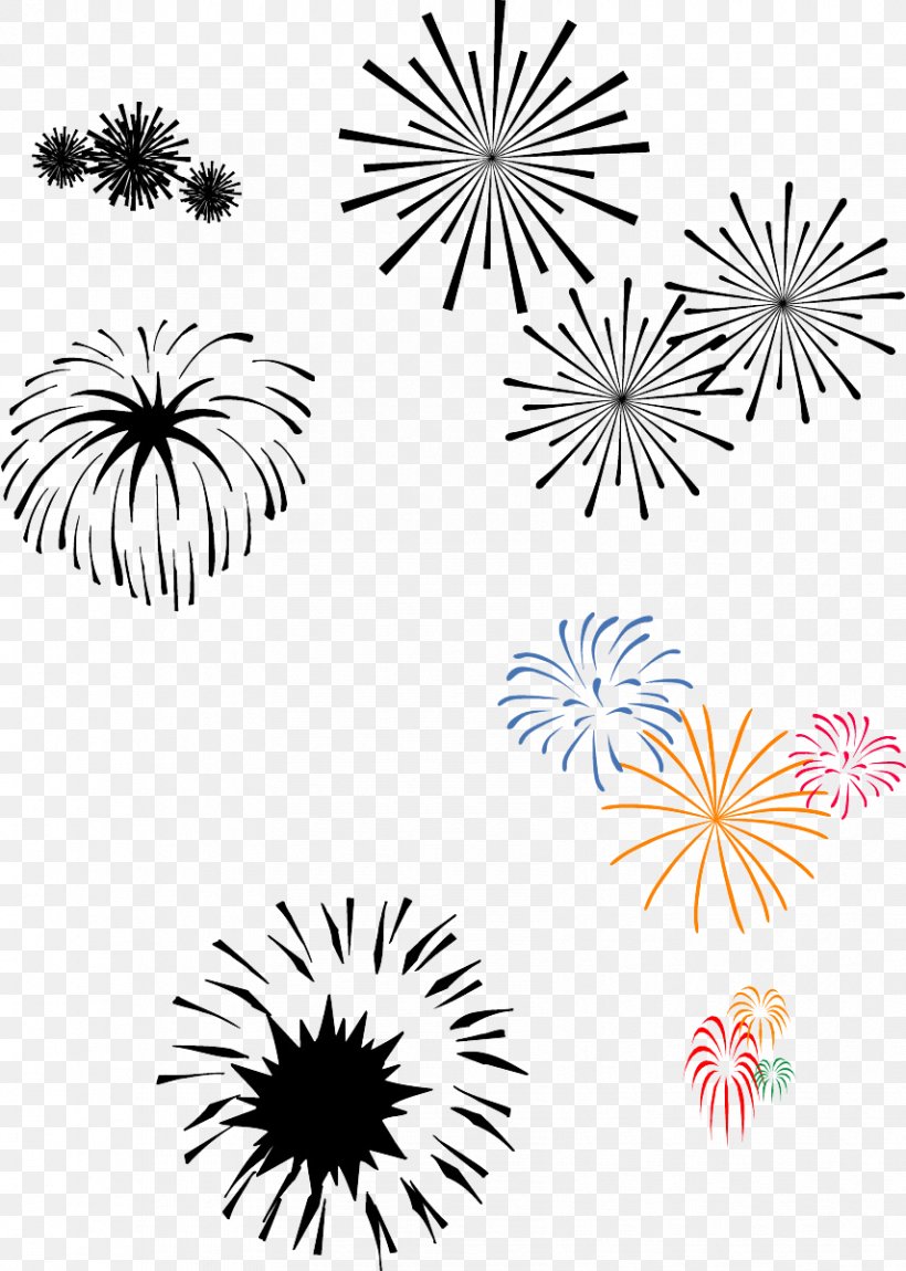 Adobe Fireworks, PNG, 855x1200px, Adobe Fireworks, Area, Black And White, Fireworks, Flora Download Free