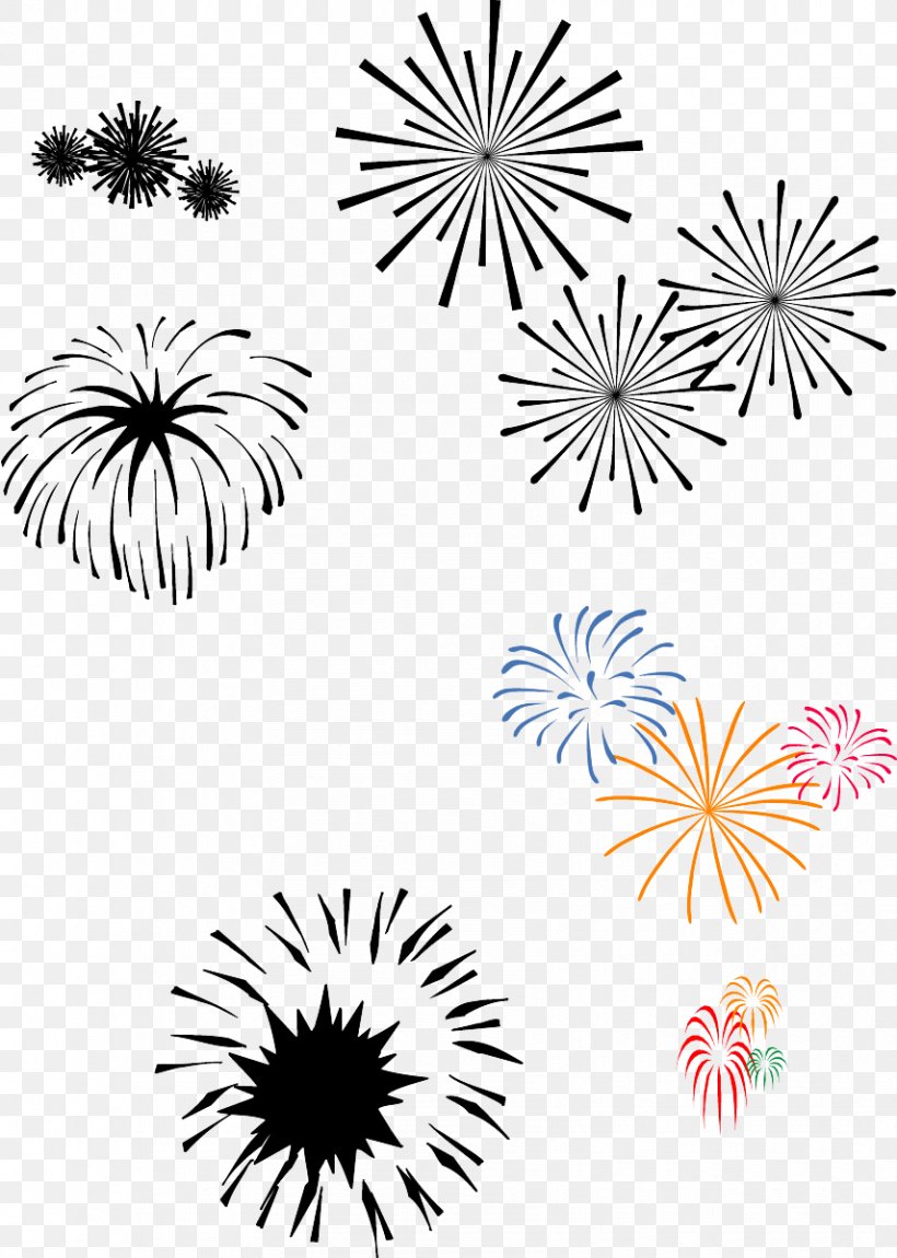 Adobe Fireworks Png 855x1200px Adobe Fireworks Area Black And White Fireworks Flora Download Free