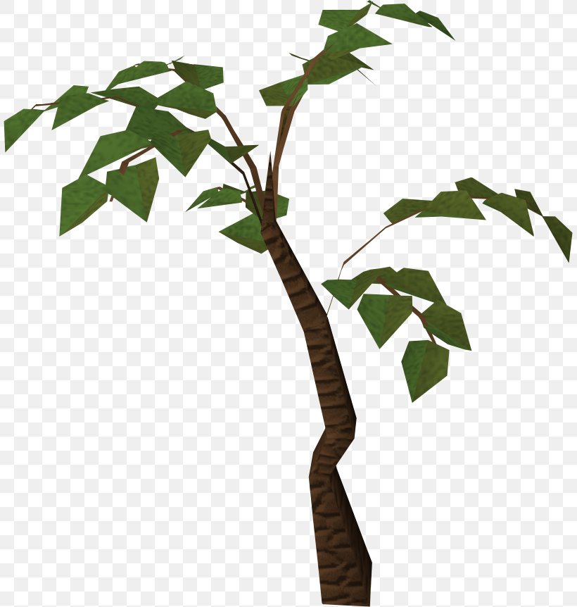 Tree Jungle Clip Art, PNG, 809x862px, Tree, Branch, Display Resolution, Drawing, Flora Download Free