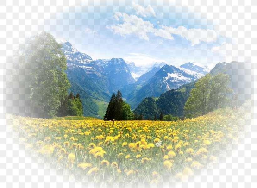 Desktop Wallpaper Landscape Beautiful Mountain Nature, PNG, 800x600px, Landscape, Beautiful Mountain, Cloud, Display Resolution, Fog Download Free