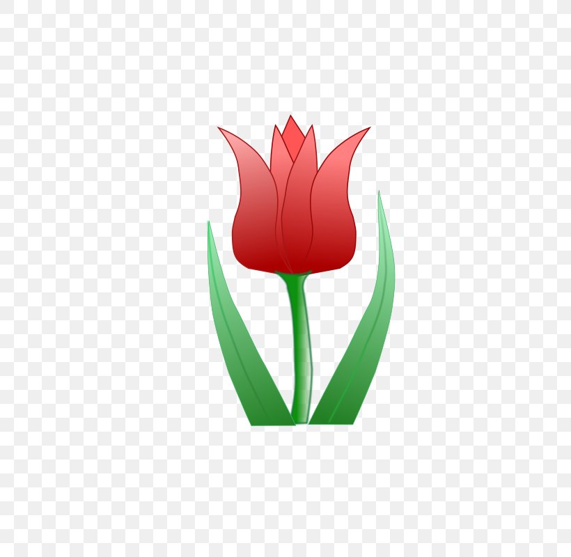 Flower Tulip Clip Art, PNG, 566x800px, Flower, Bing, Drawing, Floral Design, Flowering Plant Download Free