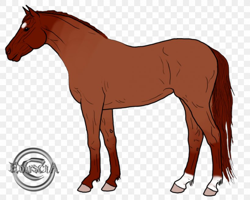 Mustang Foal Mare Colt Stallion, PNG, 997x801px, Mustang, Animal Figure, Bridle, Brown, Cartoon Download Free