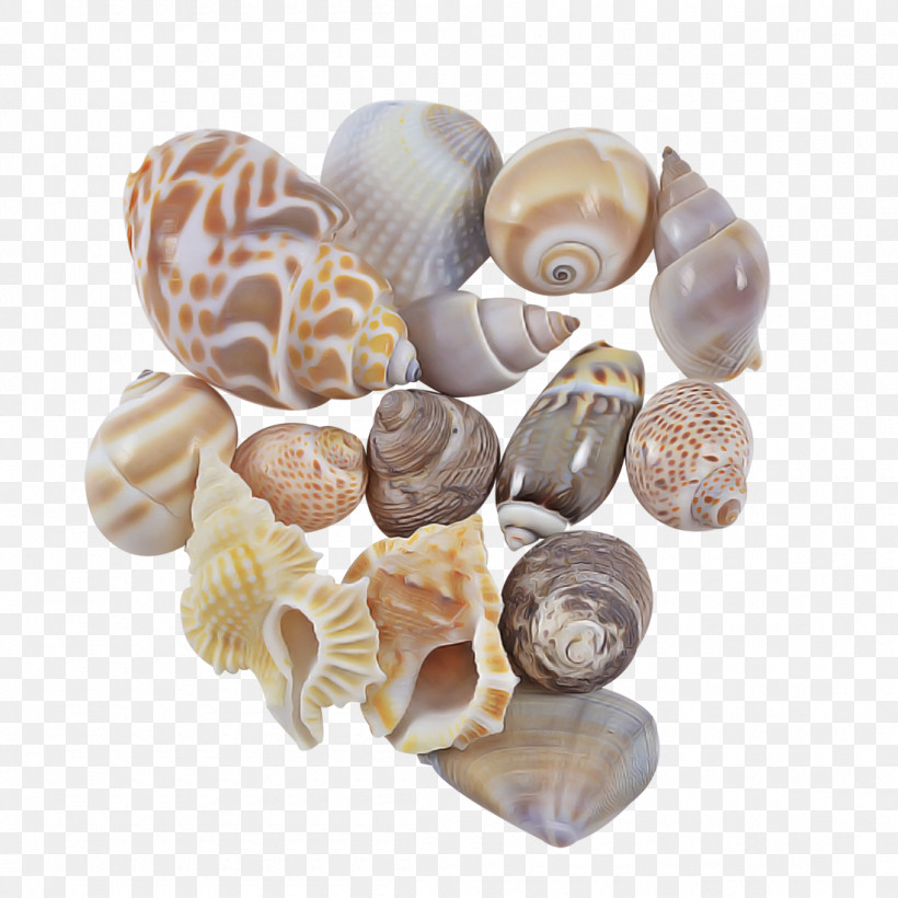 Shell Beige Rock Natural Material Bead, PNG, 1100x1100px, Shell, Bead, Beige, Natural Material, Rock Download Free