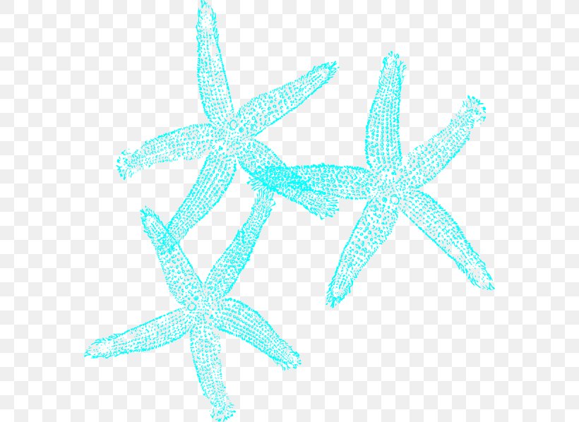 Starfish Turquoise Coral Clip Art, PNG, 582x598px, Starfish, Aqua, Coral, Echinoderm, Invertebrate Download Free