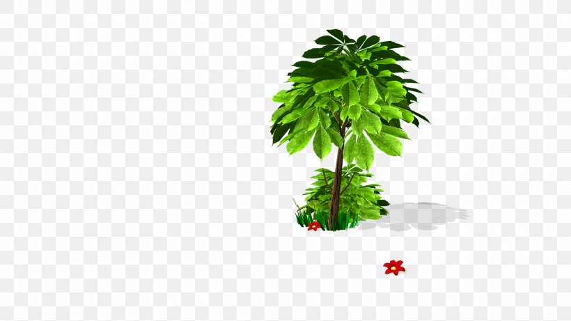 Tree Flowerpot, PNG, 1920x1080px, Tree, Flowerpot, Grass, Plant Download Free