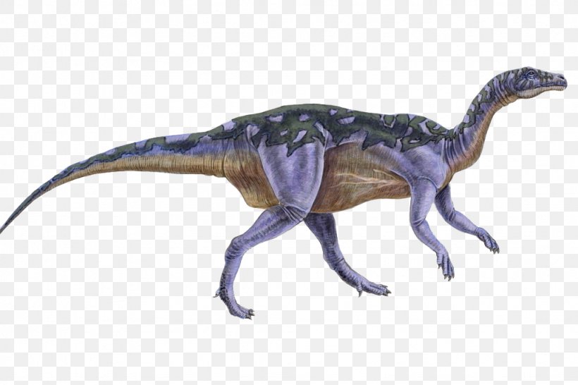 Camptosaurus Ornithopod Stegosaurus Coelurus Genasauria, PNG, 1024x683px, Camptosaurus, Camarasaurus, Cerapoda, Coelurus, Description Download Free