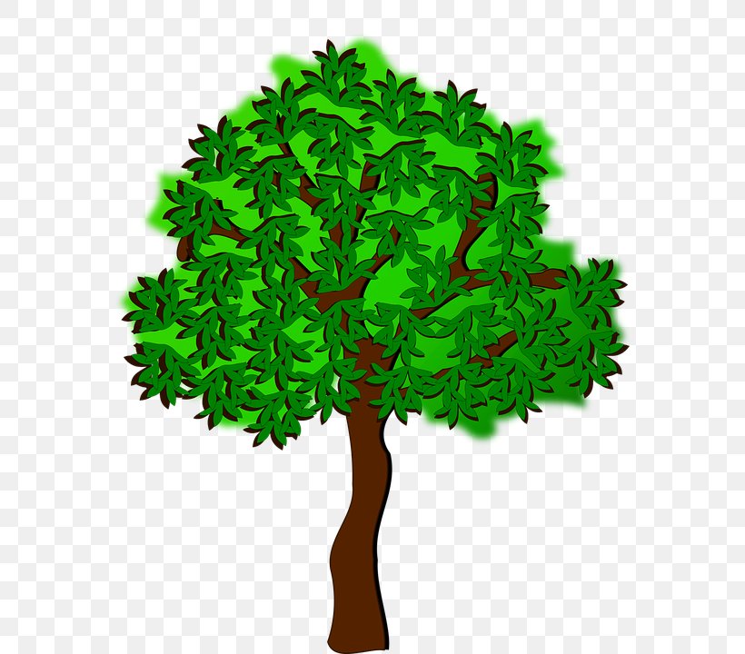 Clip Art, PNG, 663x720px, Tree, Branch, Drawing, Grass, Leaf Download Free