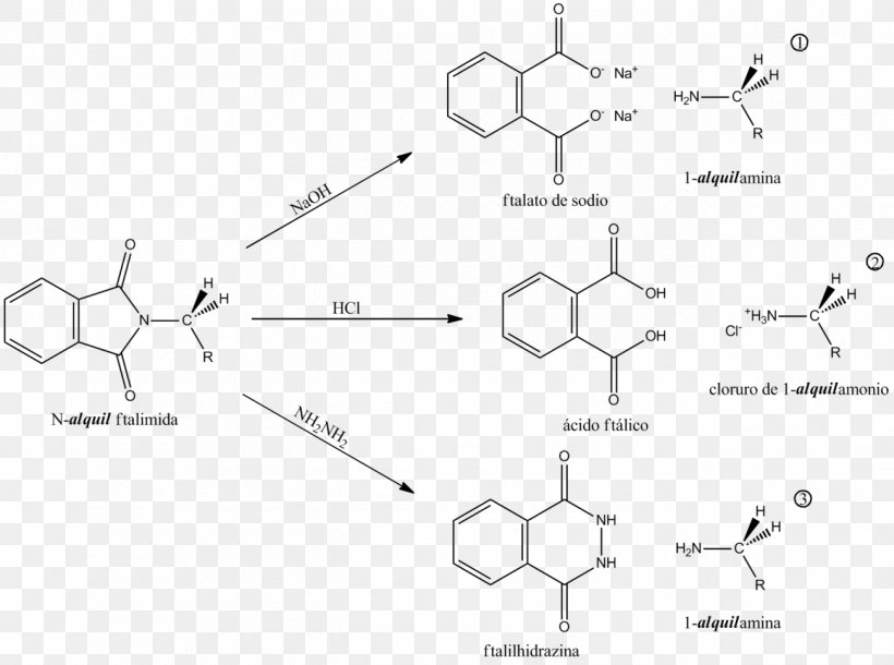 Gabriel Synthesis Amine Phthalimide Haloalkane Alkyl, PNG, 1300x968px, Amine, Alkyl, Area, Black And White, Chemical Reaction Download Free