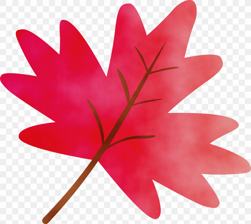 Maple Leaf, PNG, 3000x2679px, Watercolor Leaf, Flower, Leaf, Maple, Maple Leaf Download Free