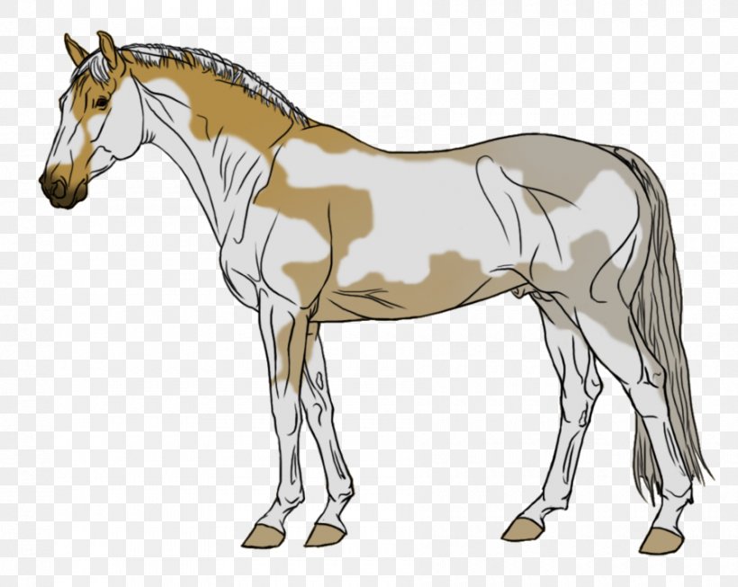Mule Foal Stallion Mare Colt, PNG, 900x717px, Mule, Animal Figure, Bridle, Colt, Donkey Download Free