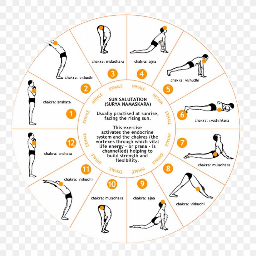 Surya Namaskara Namaste Yoga Exercise, PNG, 1200x1200px, Surya Namaskara, Area, Asana, Brand, Diagram Download Free