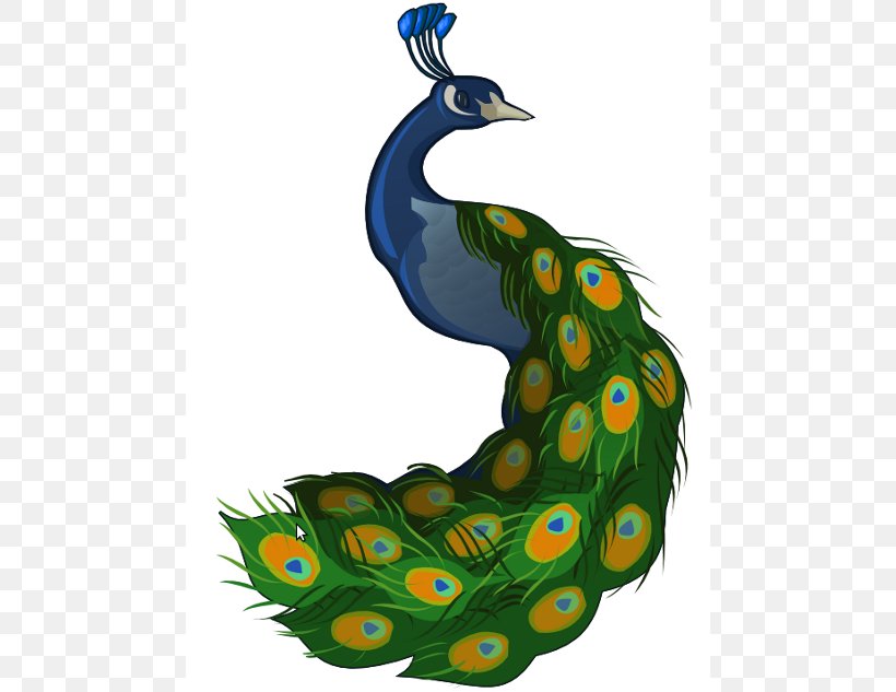 T-shirt Peafowl Cartoon Clip Art, PNG, 480x633px, Tshirt, Art, Beak, Bird, Cartoon Download Free