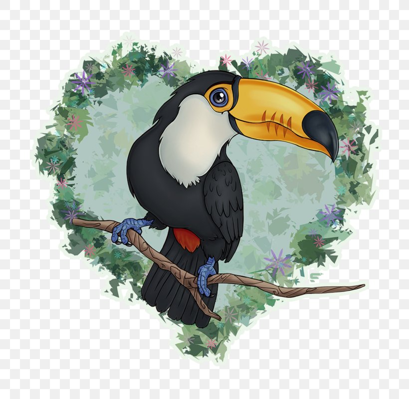 Toucan Hornbill Beak, PNG, 800x800px, Toucan, Beak, Bird, Coraciiformes, Fauna Download Free
