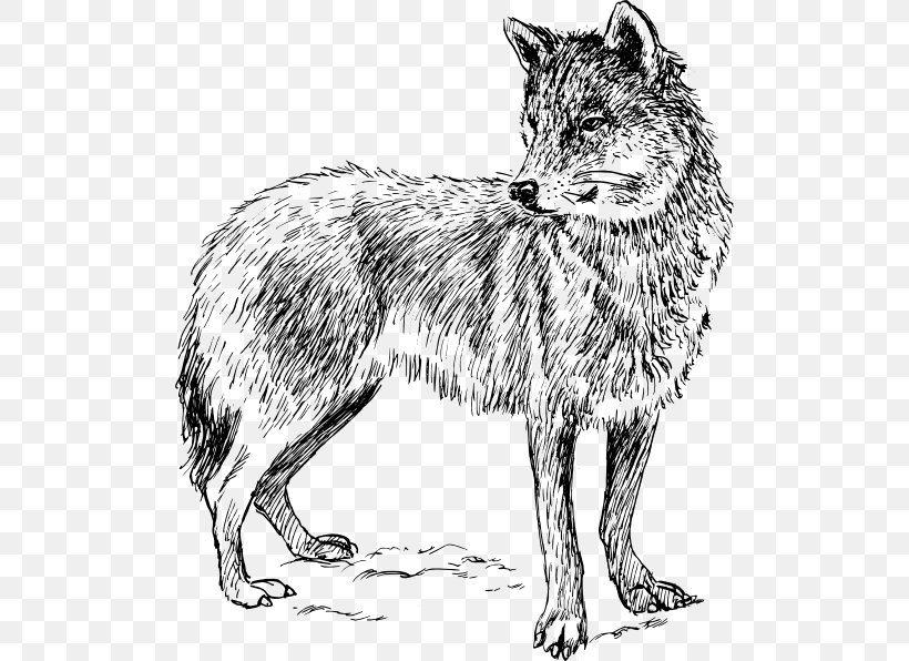 Black Wolf Clip Art, PNG, 504x596px, Black Wolf, Arctic Wolf, Black, Black And White, Carnivoran Download Free
