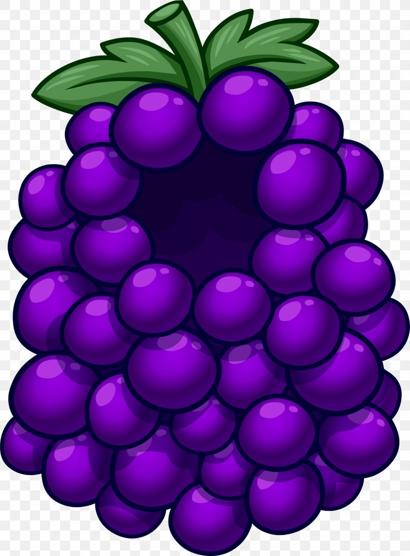 Grape Club Penguin Fruit Costume Purple, PNG, 1624x2202px, Grape, Clothing, Club Penguin, Club Penguin Entertainment Inc, Costume Download Free